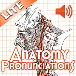 Anatomy Pronunciations Lite app icon