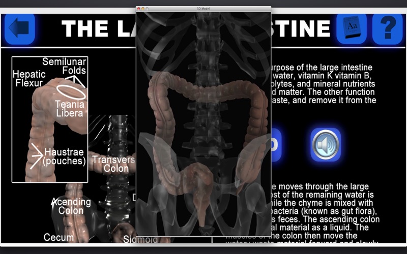 anatomy 3d organs iphone screenshot 4