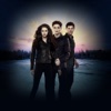 "La Saga Twilight", L'Ultime Bataille