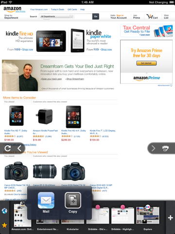 Navigateur iPad screenshot 4 - Productivity app