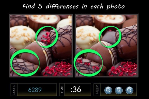 Spot the Difference Image Hunt Puzzle Game -Silver Edition screenshot 2