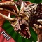 Dragon Detector + Virtual Toy Dragon 3D: My Dragons! FREE