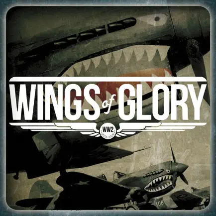 WW2 Wings of Glory Toolkit Cheats