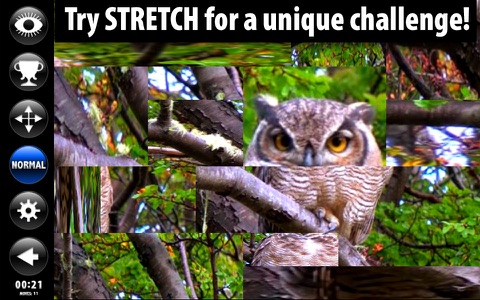 Birds Living Jigsaw Puzzles & Puzzle Stretch screenshot 3