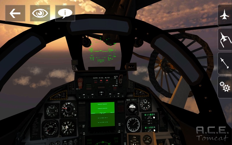 A.C.E. Tomcat thumbnail 2