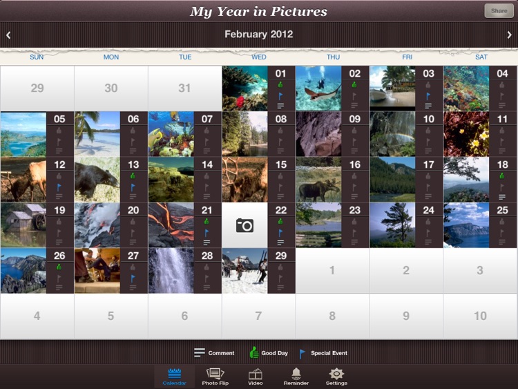 My Year In Pictures  HD