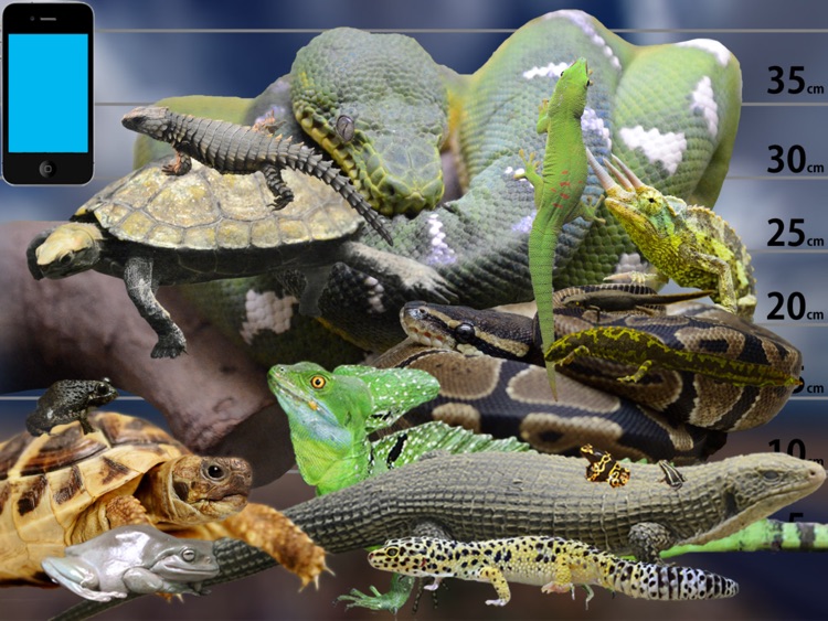 Reptile Life for Japan FREE screenshot-3