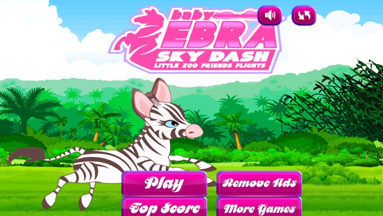 Baby Zebra Sky Dash : Little Zoo Friends Flight