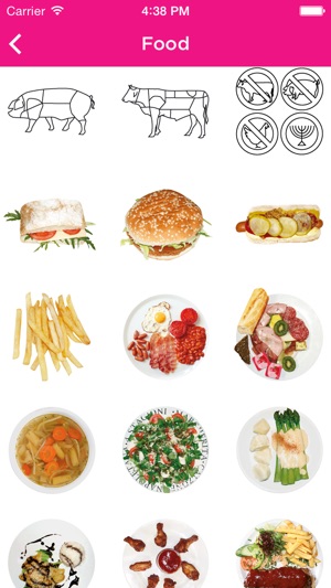 ICOON global picture dictionary(圖5)-速報App