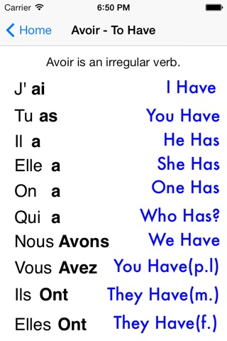 iGrammaire screenshot 2