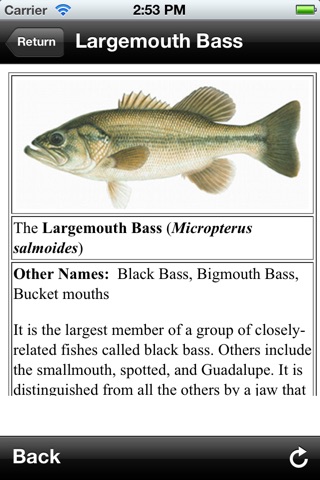 Freshwater Fish ID South lite screenshot 2