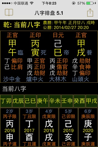 BaZi 八字排盘 screenshot 3