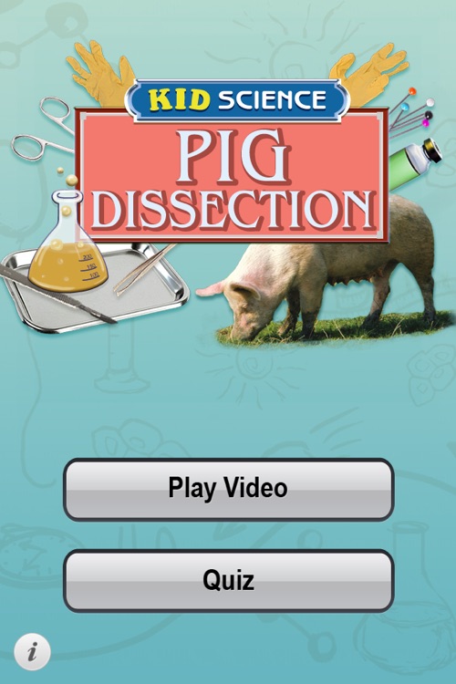 Pig Dissection