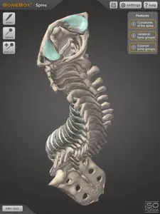 BoneBox™ - Spine Viewer screenshot #5 for iPad