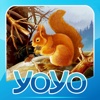 YOYO Books -森林里的小伙伴们iPhone版