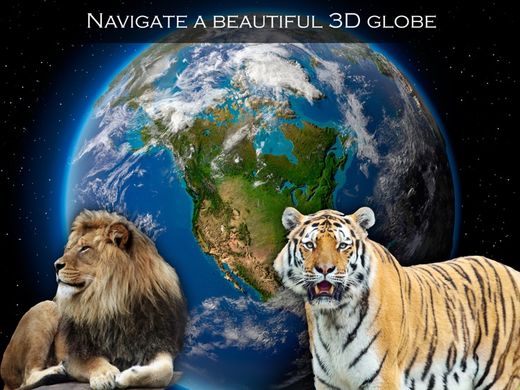 Animal Wonders of the World