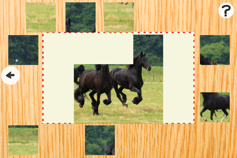 A Ponies Puzzle for Kids and Horse-s Man & Girl-s - Free Interactive Learn-ing Game-s screenshot 4