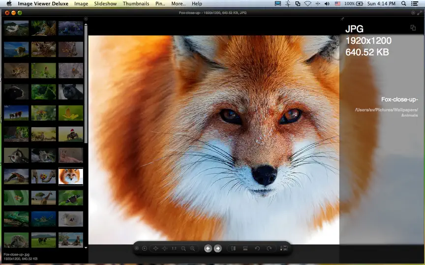 Captura de pantalla de Image Viewer Deluxe en iPhone 4