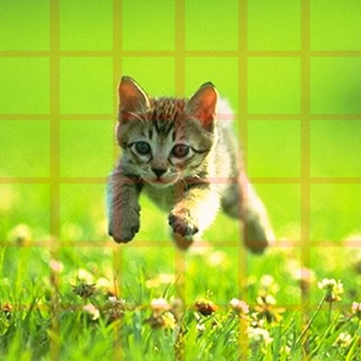 Baby Cat Puzzles