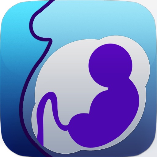 Pregnancy Tool icon