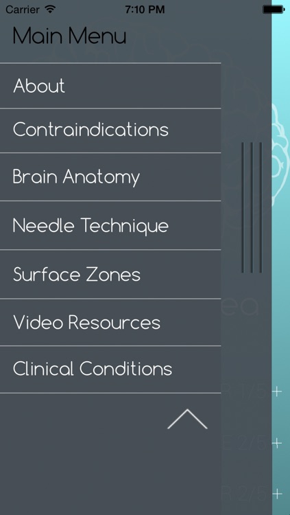 Scalp Acupuncture Reference screenshot-4