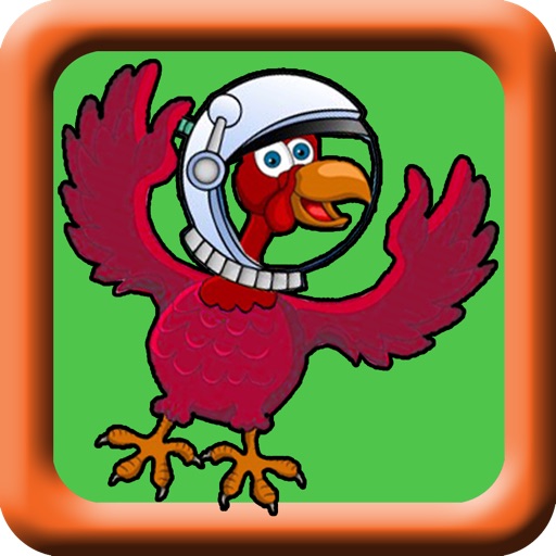 Simple Space Bird iOS App