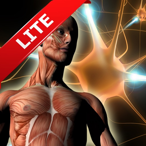 ATLAS: Human Body A-Z FREE for iPad icon