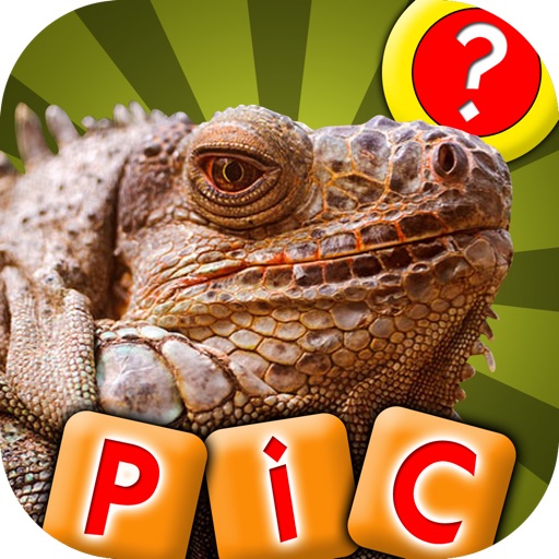 What is the Word? - Guess the Pics and Words In This New Photo Puzzle Quiz Game!