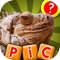 What is the Word? - Guess the Pics and Words In This New Photo Puzzle Quiz Game!