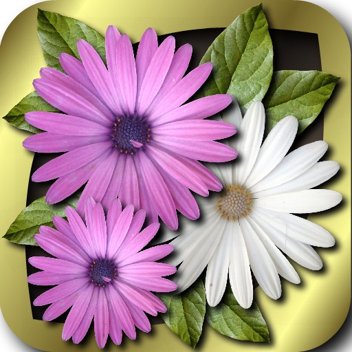 Flower Slots icon