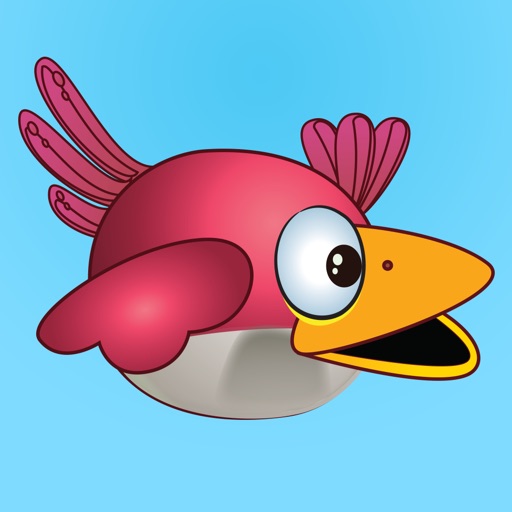 Zinpy Bird iOS App