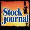 Stock Journal