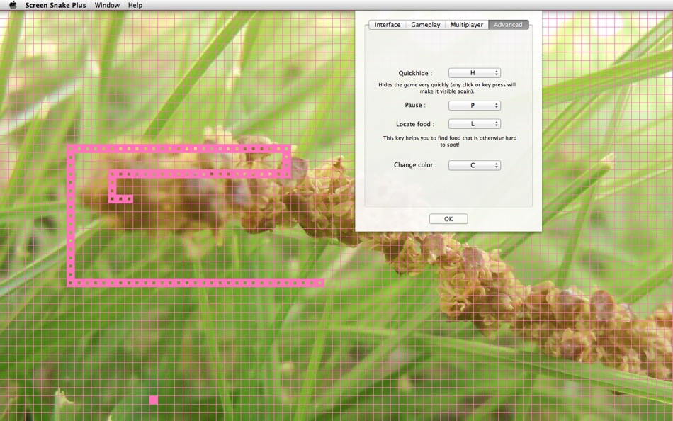 Screen Snake Plus - 3.0 - (macOS)