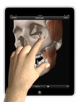 Game screenshot DentalNavigator apk