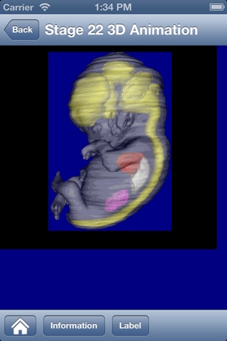 Embryo screenshot 3