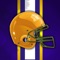 "The most complete app for LSU Tigers Football Fans