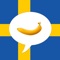 Swedish picture dictionary is a dictionary of useful pictures when traveling, in everyday situations and for education