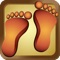 iPocket Foot Reflexology is a complete self-teaching guide to the gentle art of Foot Reflexology