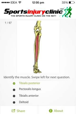 Human Muscles Quiz from Sportsinjuryclinic.net screenshot 3