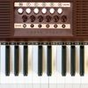 Icon Chord Organ