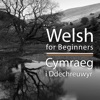 Welsh for Beginners icon