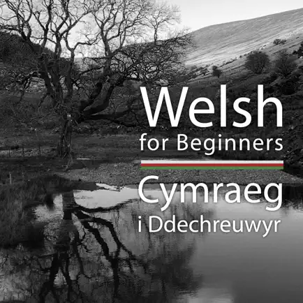 Welsh for Beginners Cheats