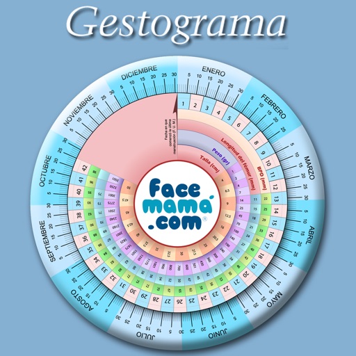 Pregnancy Gestogram