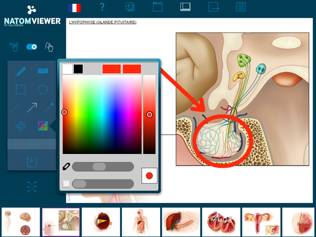 Natom Viewer(圖5)-速報App