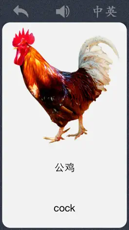 Game screenshot 宝宝卡片－大百科 双语发音 Free apk