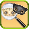 Deer Picture Hunter Game - Spot the Differences of Pics of Animals Wildlife Photography