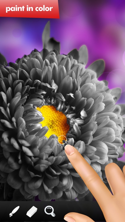 Mono Paint image editor PRO