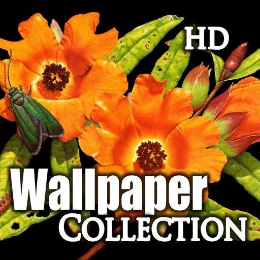 Awesome Wallpapers World iOS App