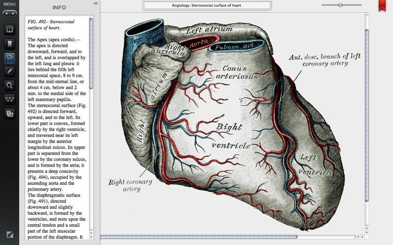 gray's anatomy premium edition problems & solutions and troubleshooting guide - 3