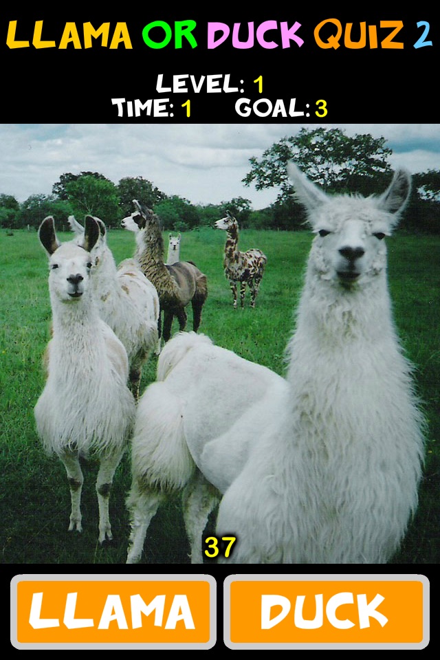 Llama or Duck Quiz 2 screenshot 3